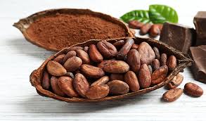 Cocoa Beans